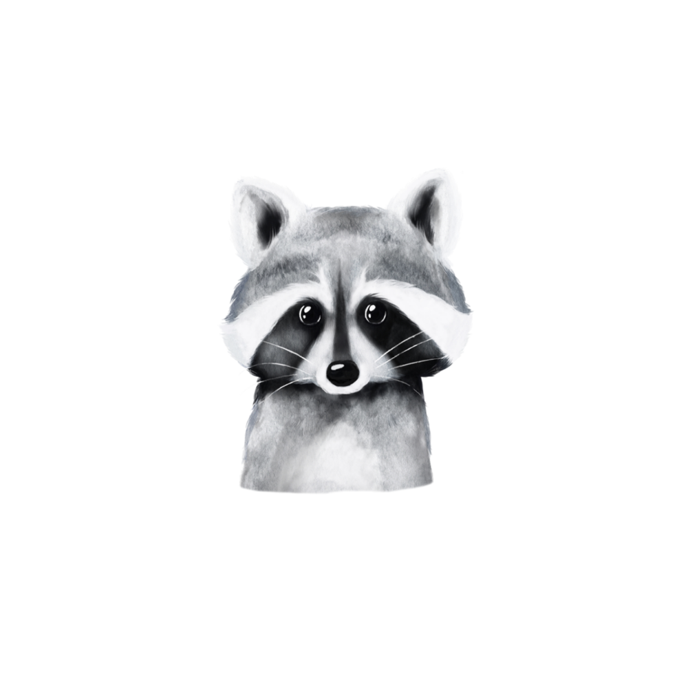 Raccoon – OliviMilly Raccoon – OliviMilly