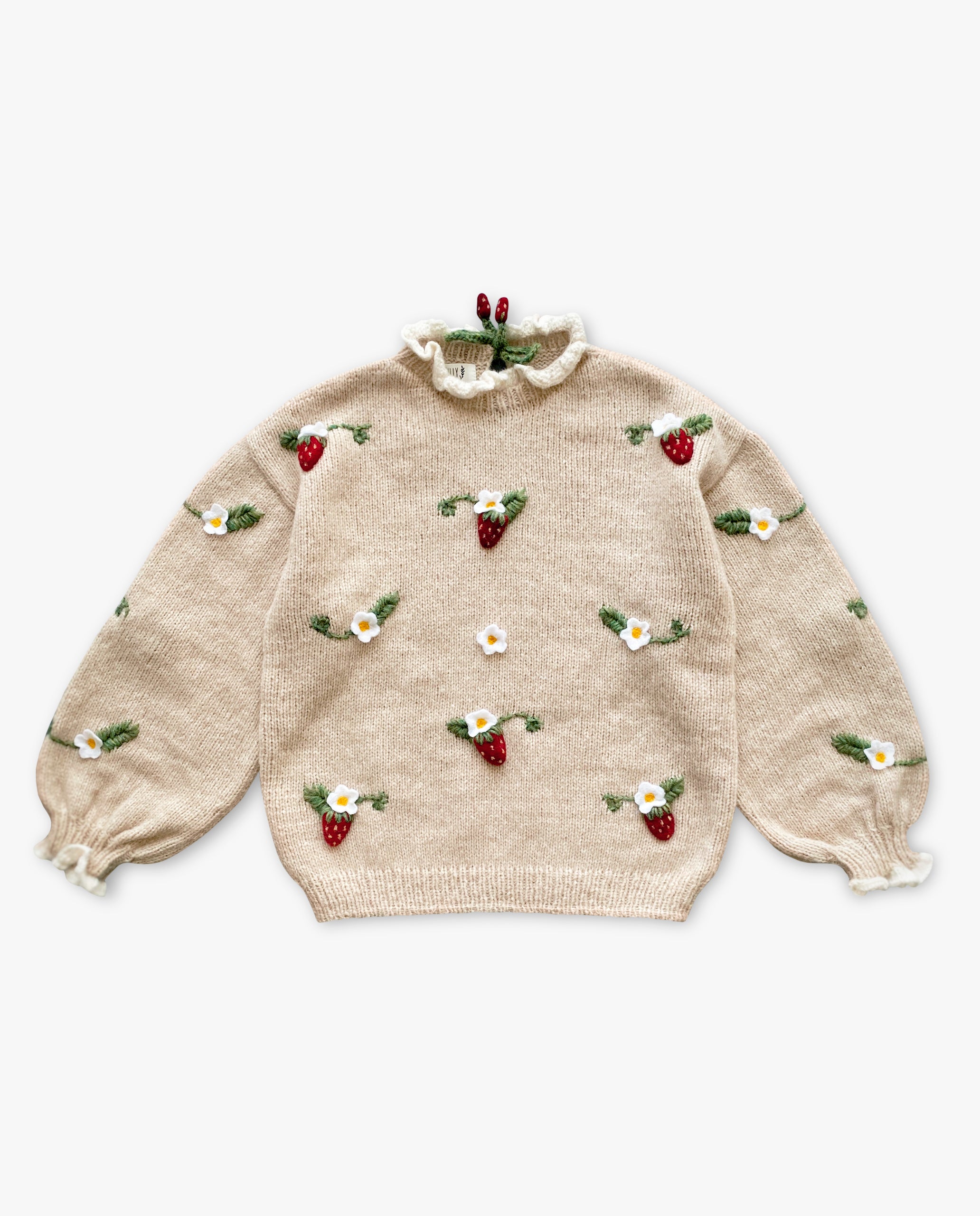 Adult Strawberries pullover | Wheat