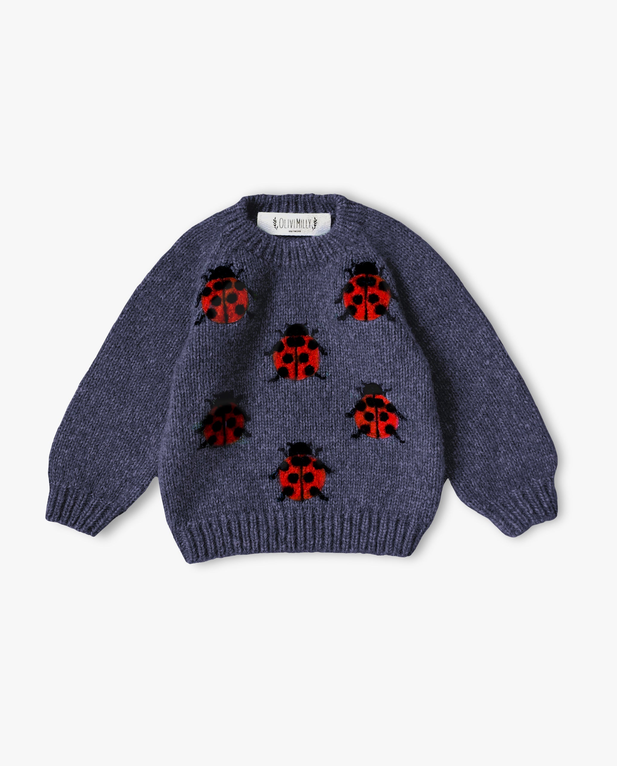 Ladybug Jumper | Dark blue