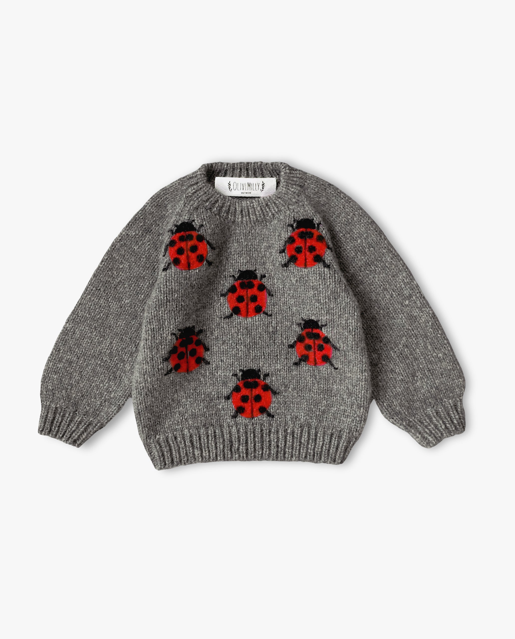 Ladybug Jumper | Dark Grey