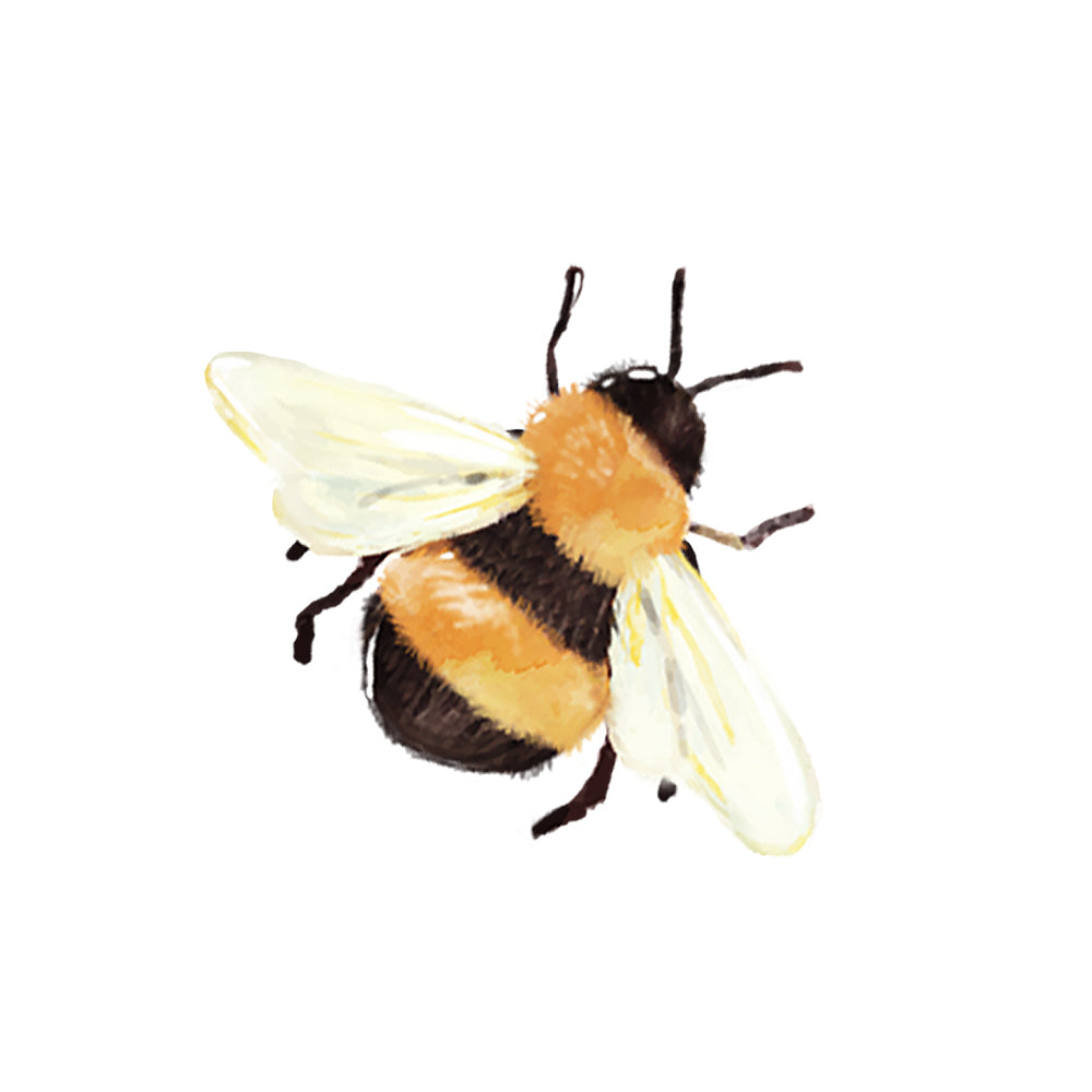 Category Image