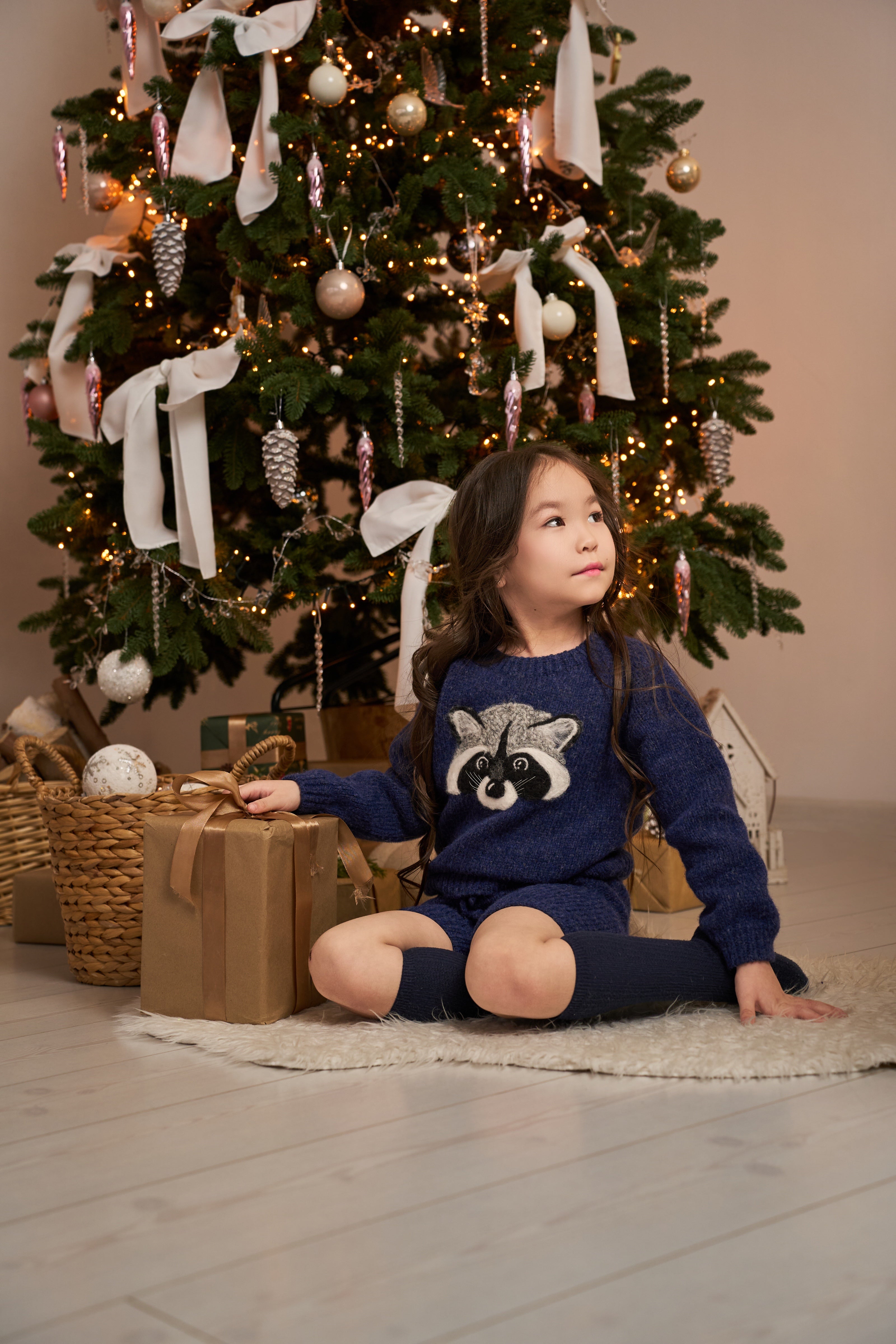 Raccoon jumper | Dark blue