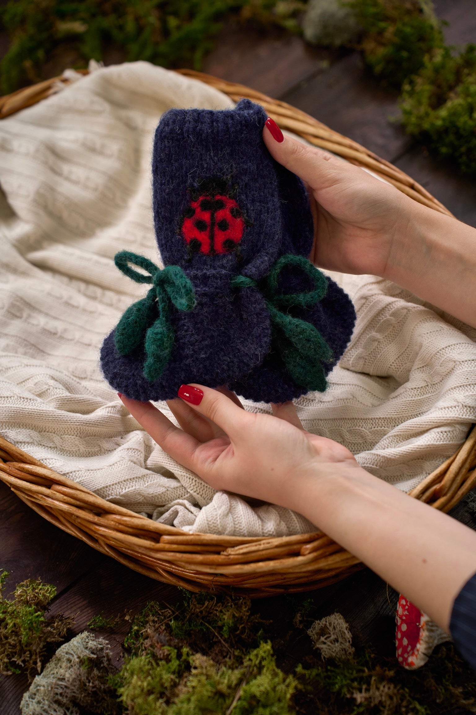 Ladybug Booties| Dark blue