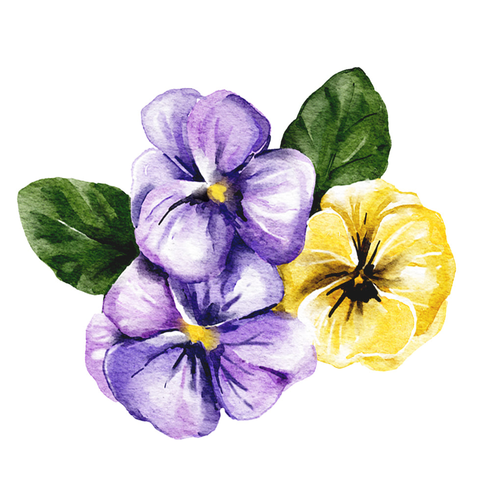 Category Image