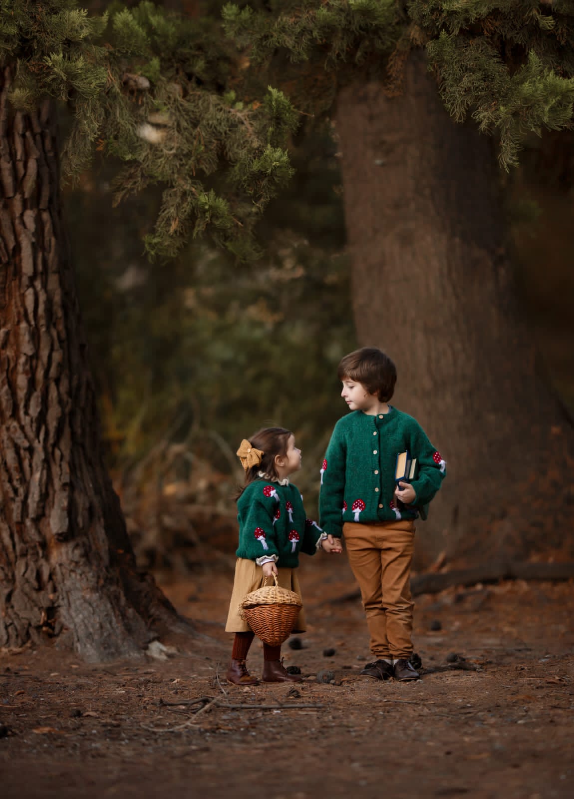 Mushrooms pullover | Emerald