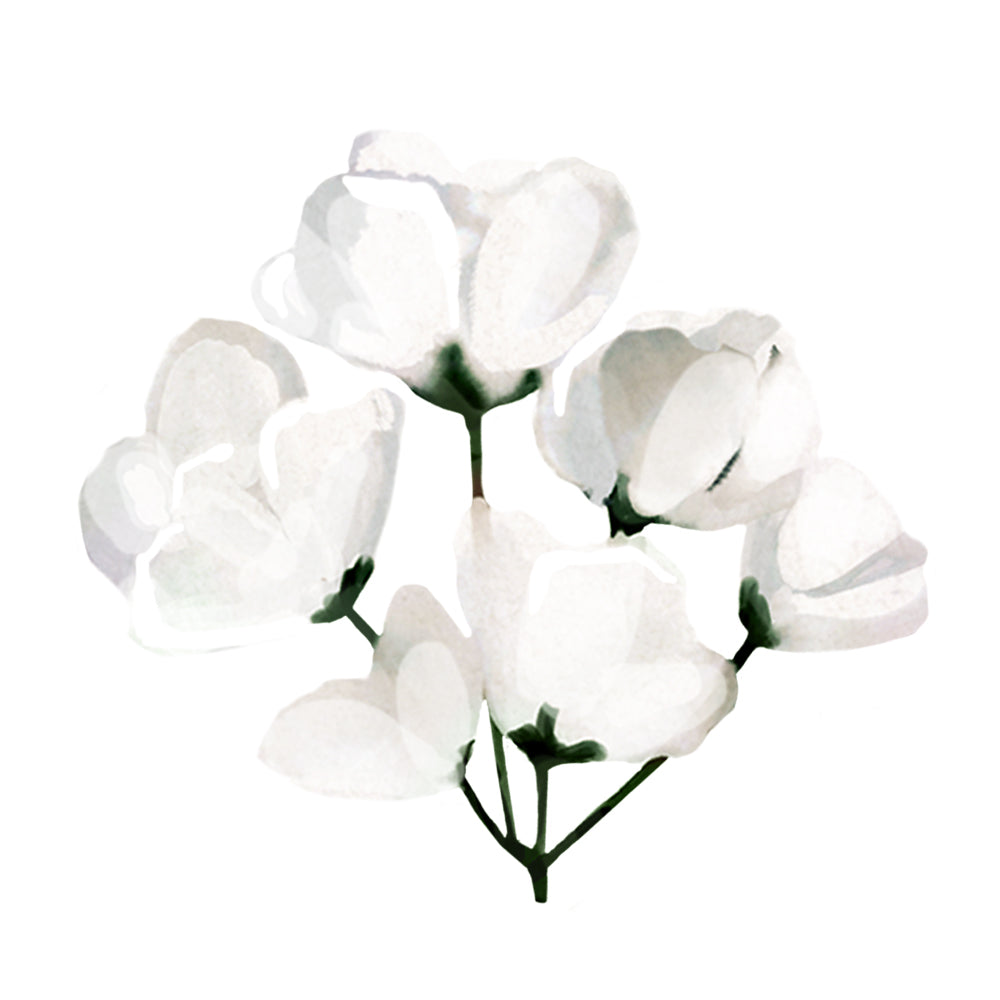 Category Image
