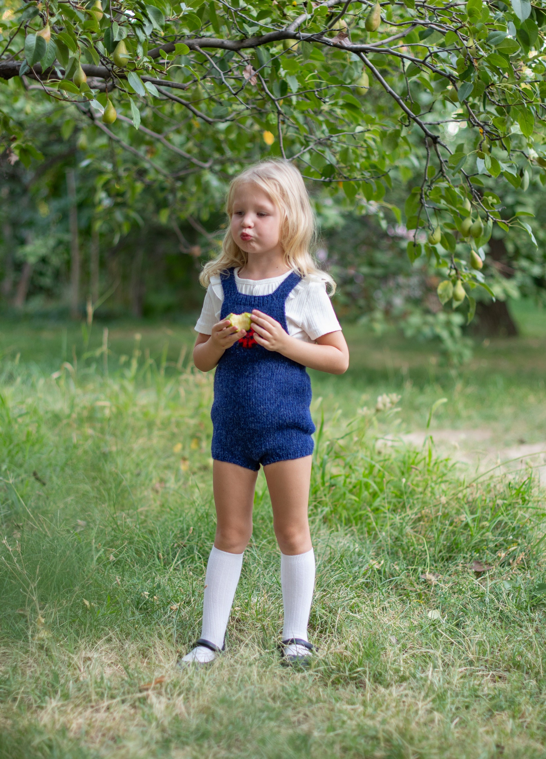 Ladybug romper | Dark blue