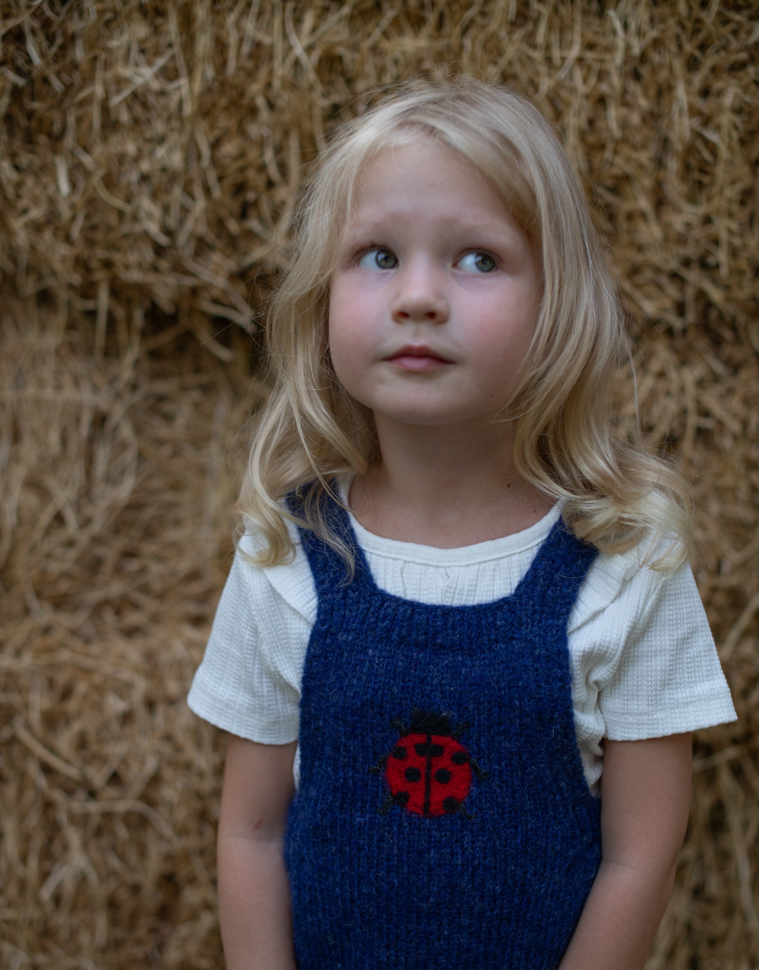 Ladybug romper | Dark blue
