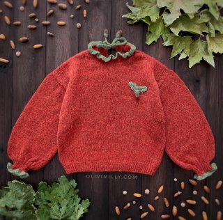 Adult Acorns Pullover | Red-orange