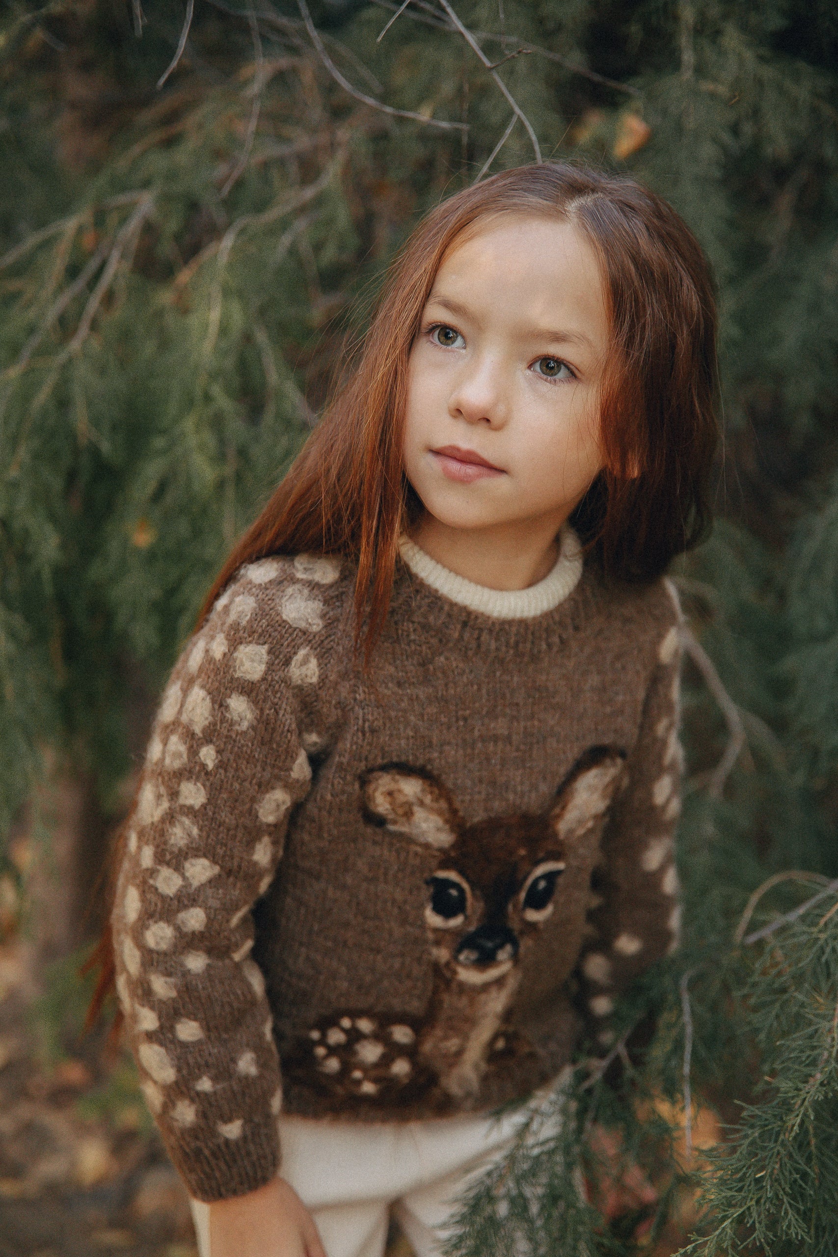 Deer Jumper | Brown