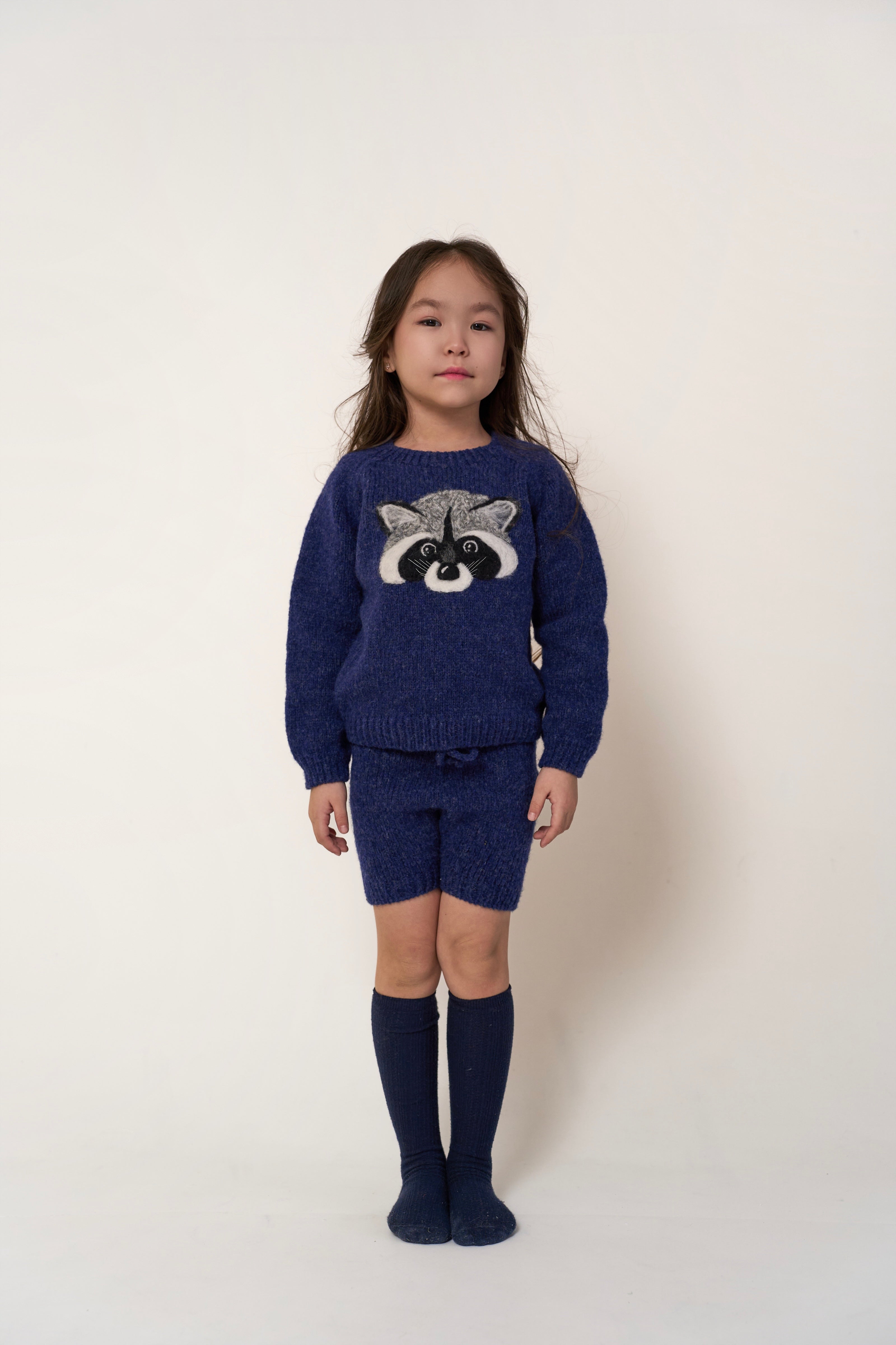 Raccoon jumper | Dark blue