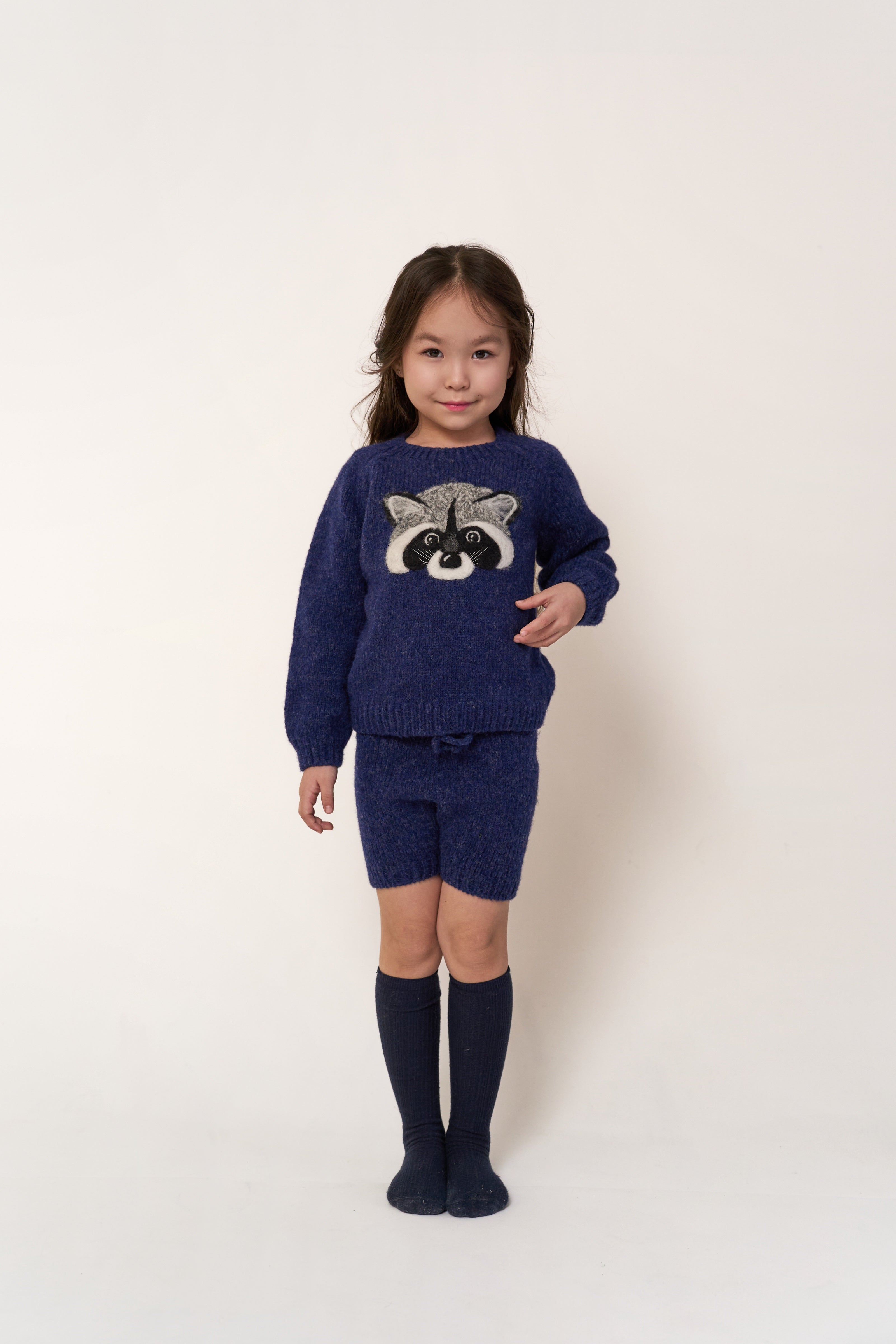 Raccoon jumper | Dark blue