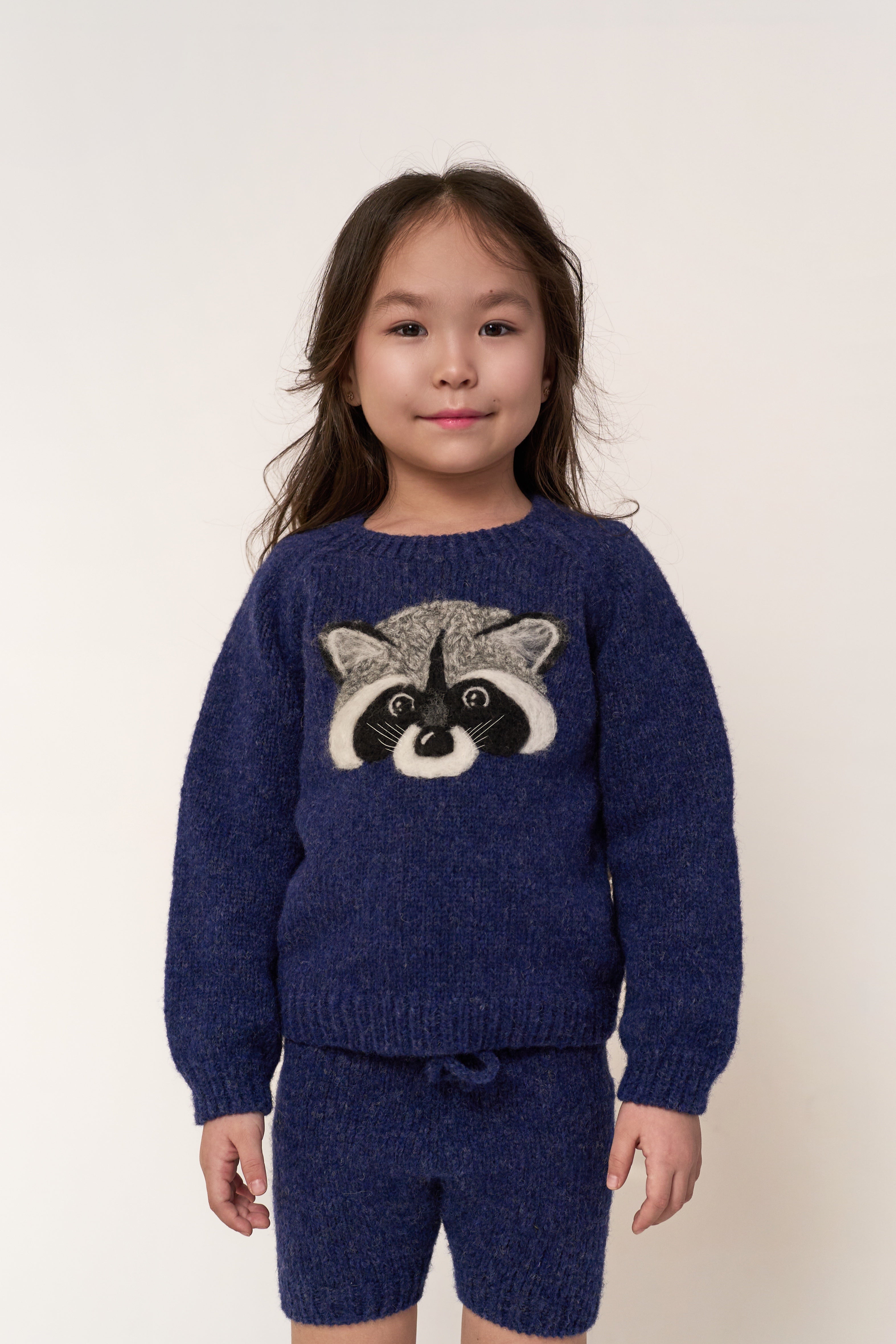 Raccoon jumper | Dark blue