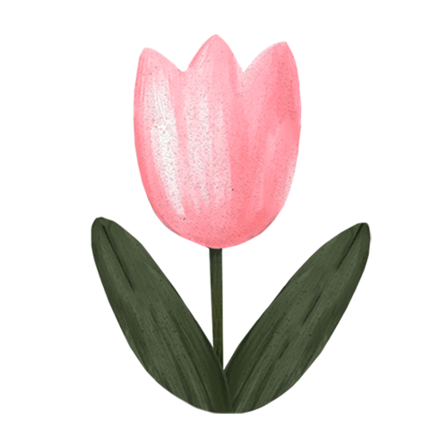 Category Image