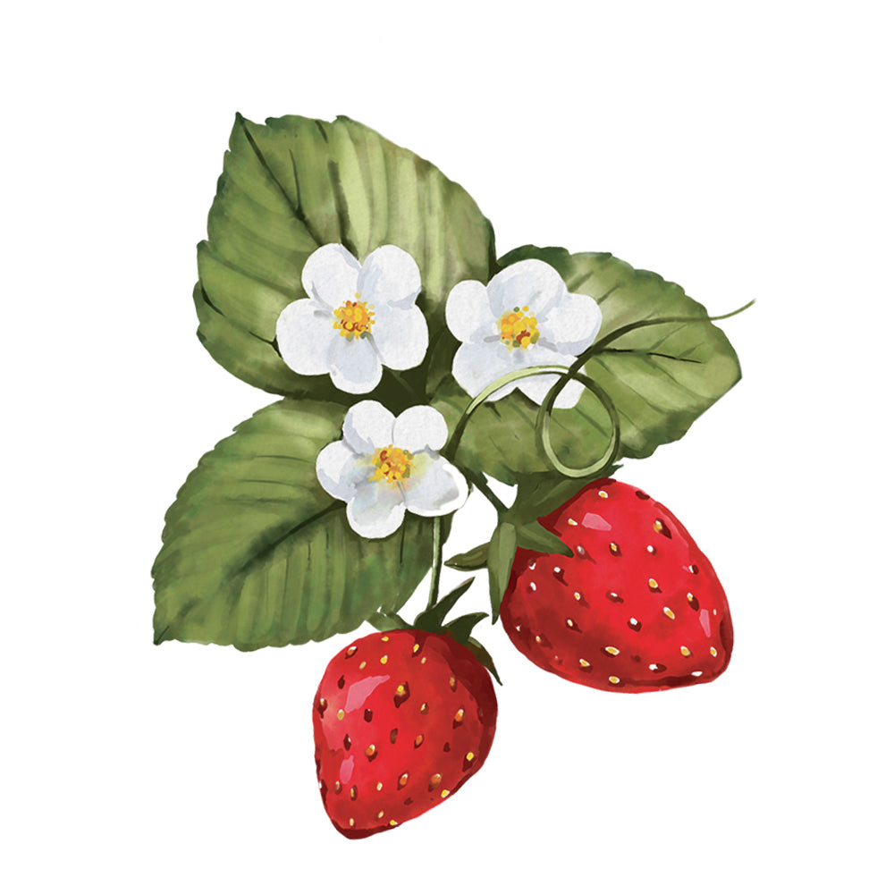 Category Image