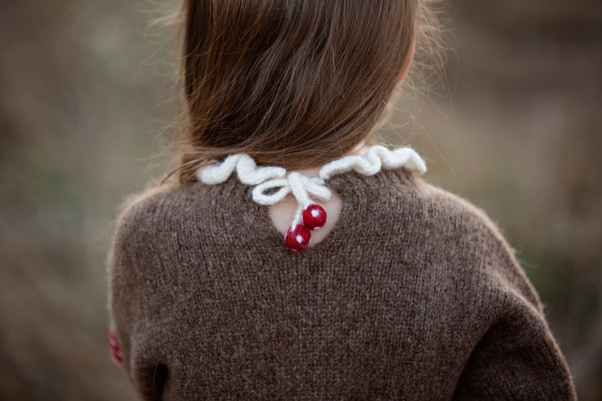 Mushrooms pullover | Brown