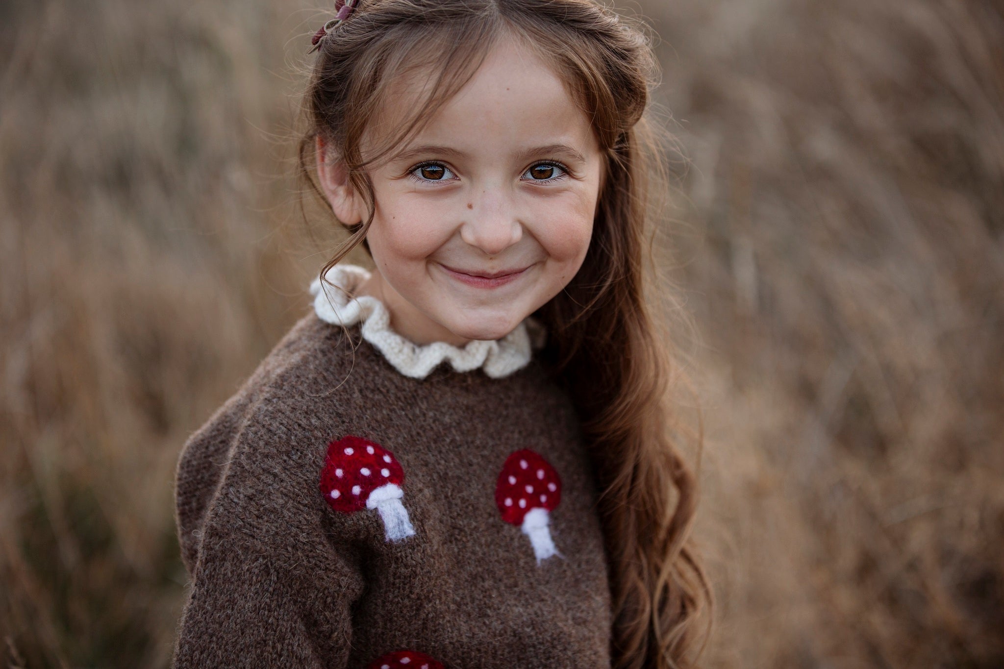 Mushrooms pullover | Brown