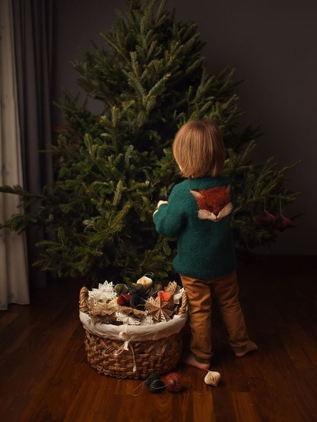 Fox cardigan | Emerald