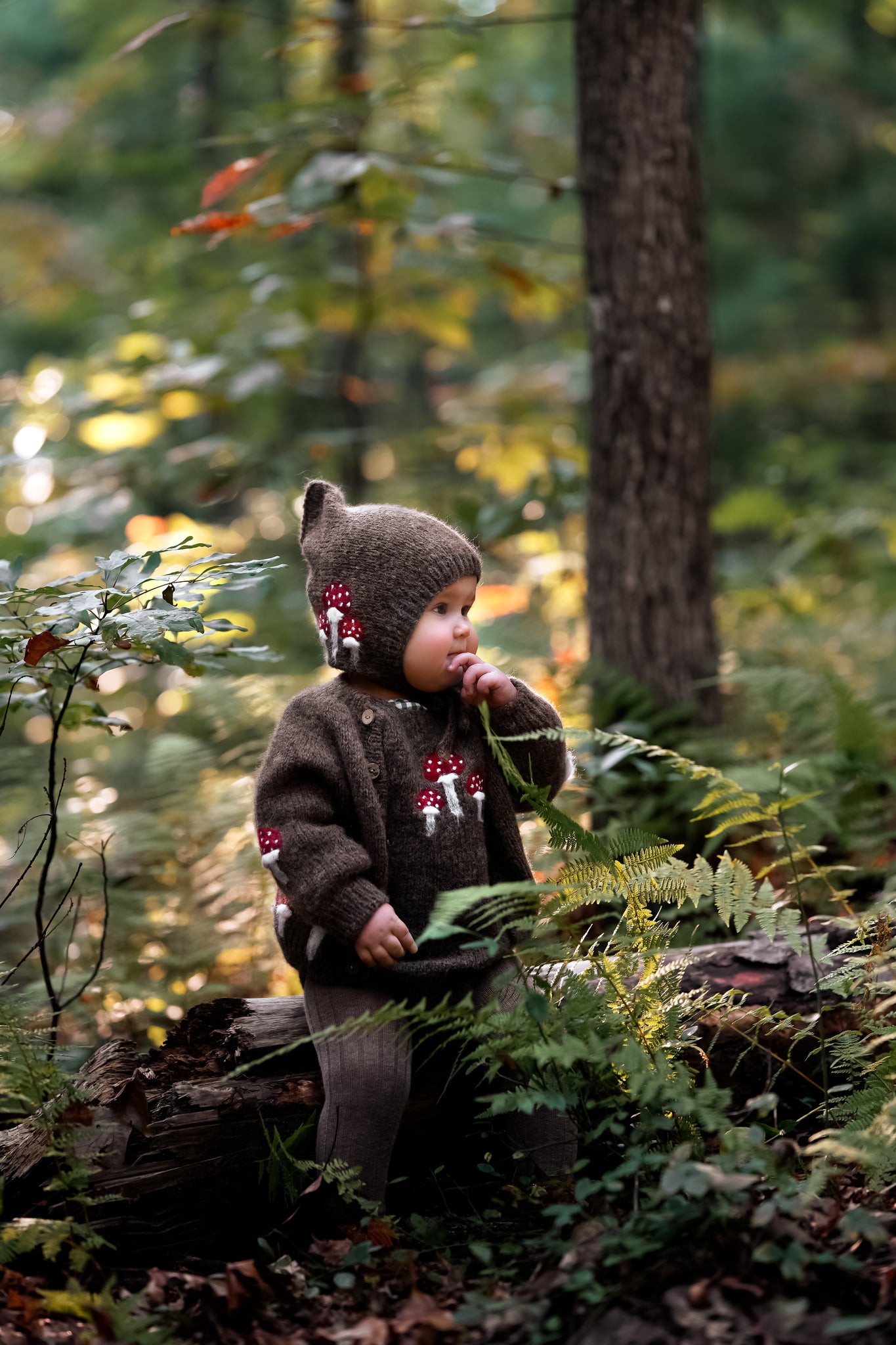 Mushrooms bonnet | Brown | In Stock
