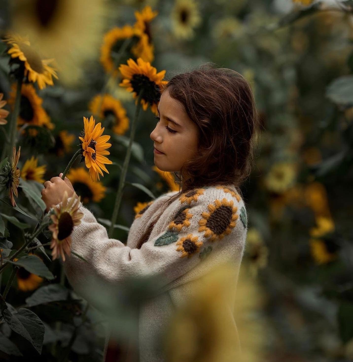 Sunflowers cardigan | Wheat