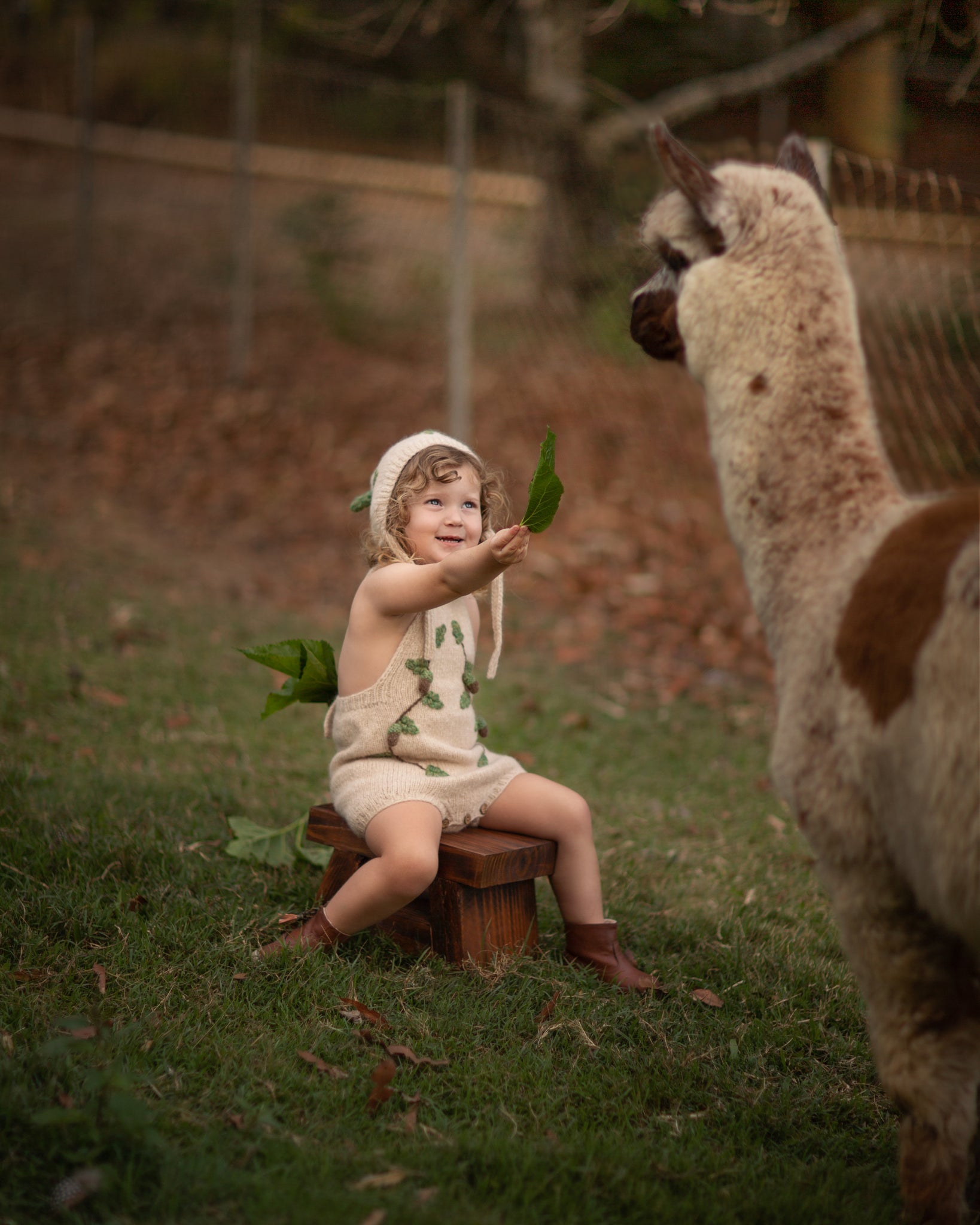 Acorns Romper | Wheat