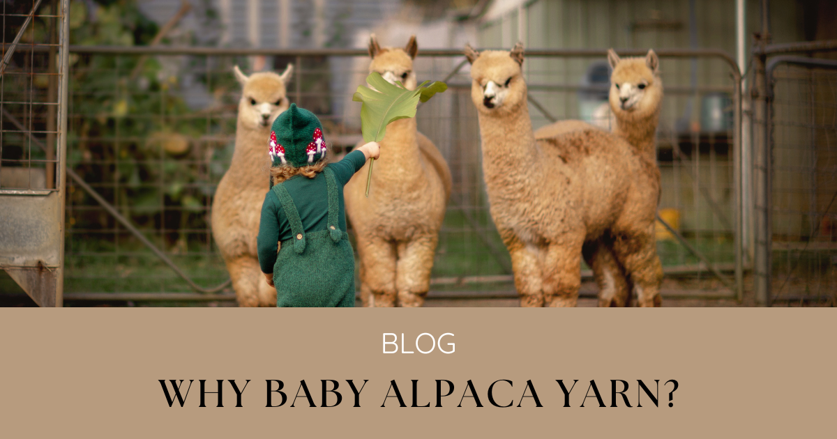 Why Baby Alpaca Yarn?