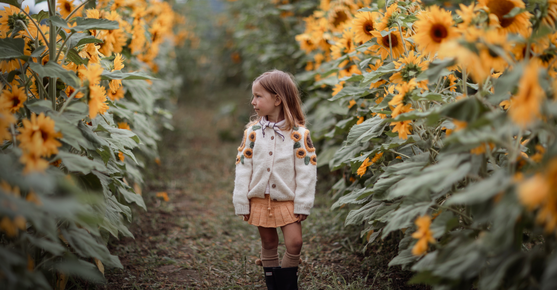 Desktop Slider Image