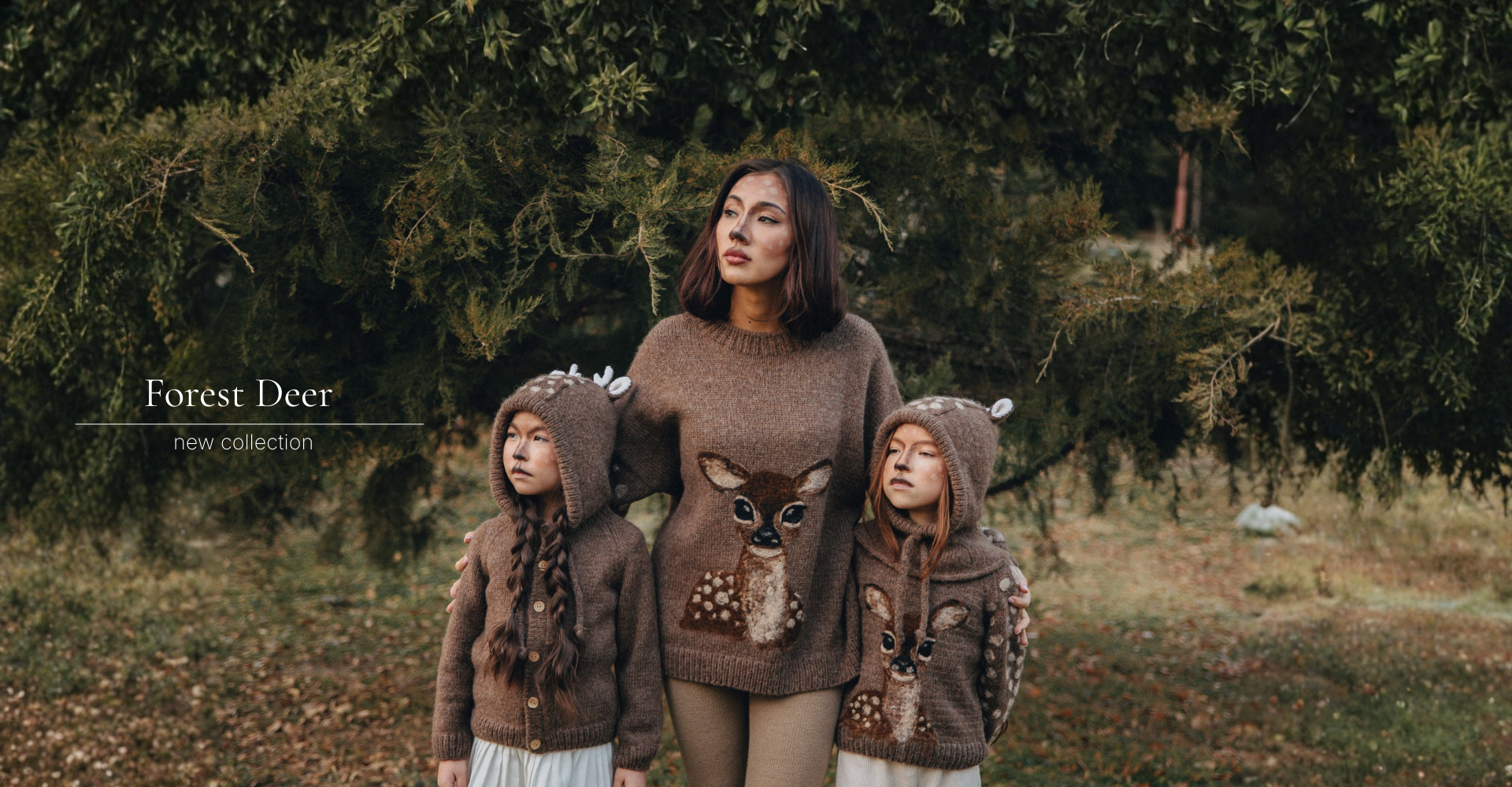 Desktop Slider Image