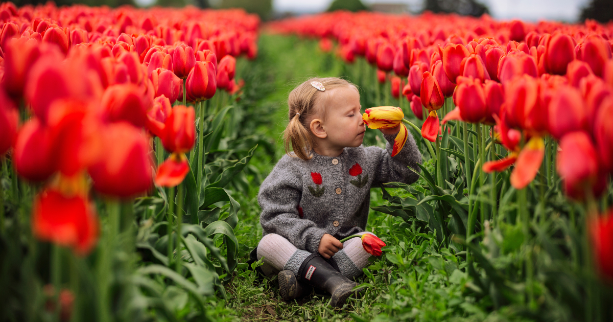 Desktop Slider Image